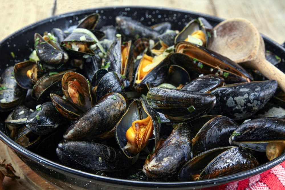 Moules marinières