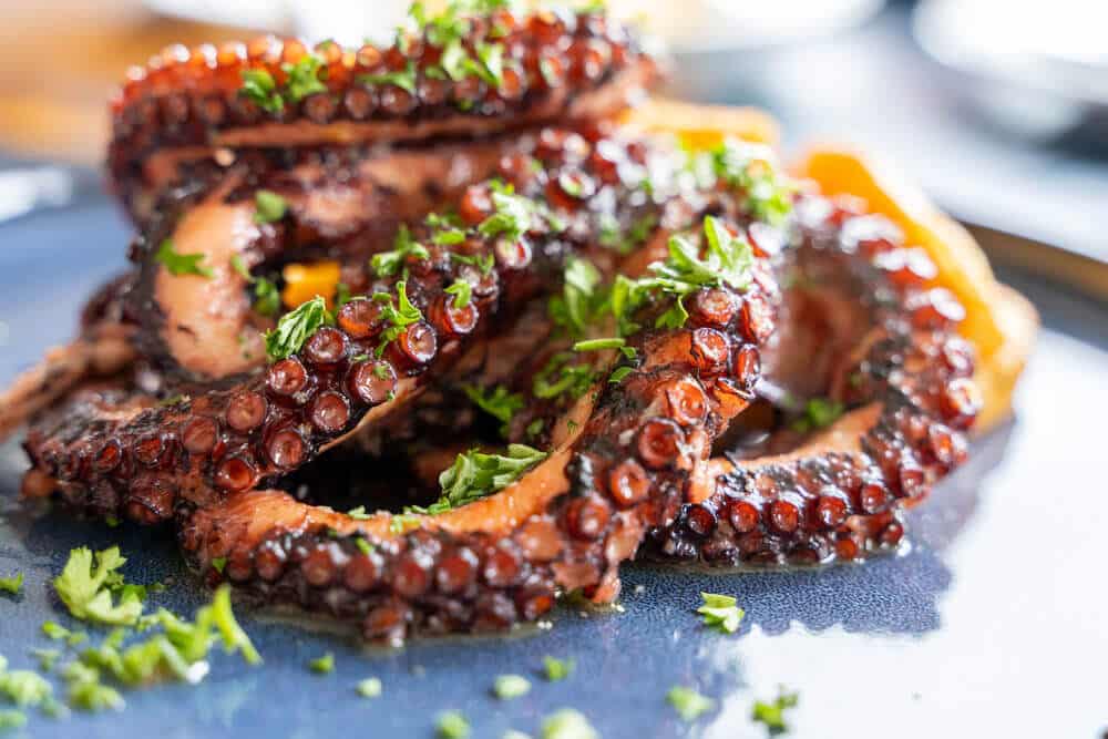 Pulpo anticuchero
