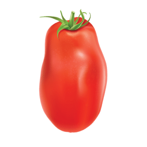 Tomate San Marzano